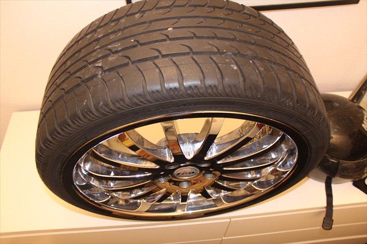 Rial sion 19" Vs. Verde Scorpion    billede 7