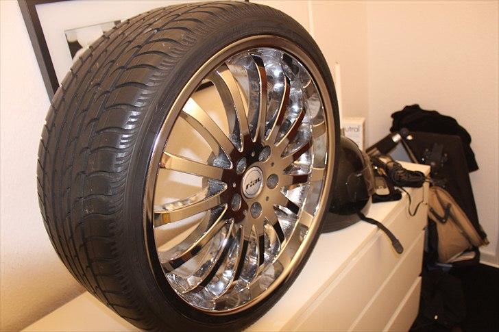 Rial sion 19" Vs. Verde Scorpion    billede 8