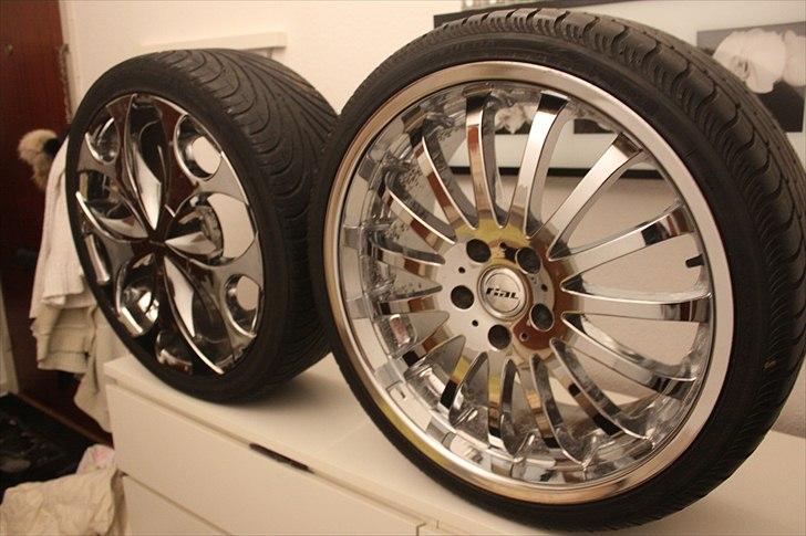 Rial sion 19" Vs. Verde Scorpion    billede 11