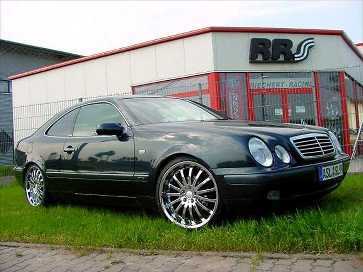 Rial sion 19" Vs. Verde Scorpion    billede 12