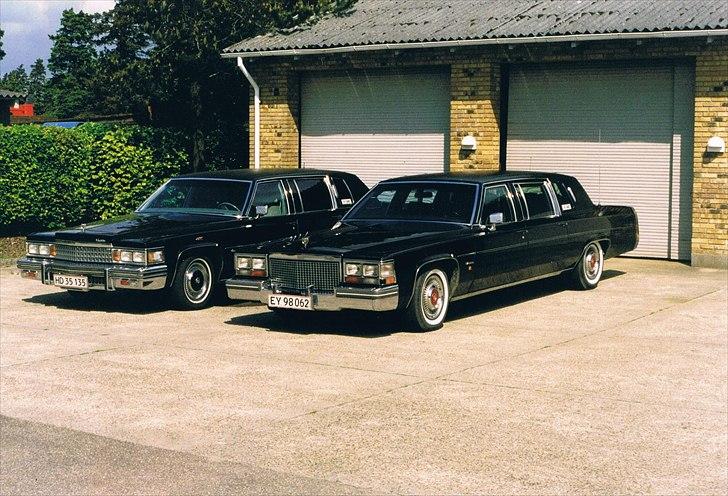 1978 Cadillac Fleetwood Long Sedan Limousine - Fast arbejde i 9 måneder. Her med ledsagevogn:
Cadillac Fleetwood formal limousine - tidligere Udenrigsministeriet - armeret. 
Bemærk "Københavnersyn" dvs. sort maling  på venstre corner light foran og det røde i bagkofangeren. 
Rigspolitiet havde haft problemer med synsreglerne på denne vogn, da de godt kunne se det praktiske i at det store cornering light (den store hvide lampe over corner light) virkede. Hvor andre Cadillac biler fik dette lys oversprøjtet med sort maling pga. praksis i de københavnske synshaller, fik denne aller nådigst lov til at beholde funktionen, imod at der kom en gul pære i :-). billede 22