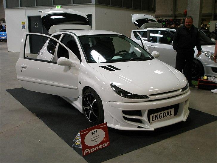 Fast and furious carshow 2011 med min peugeot 206 billede 10