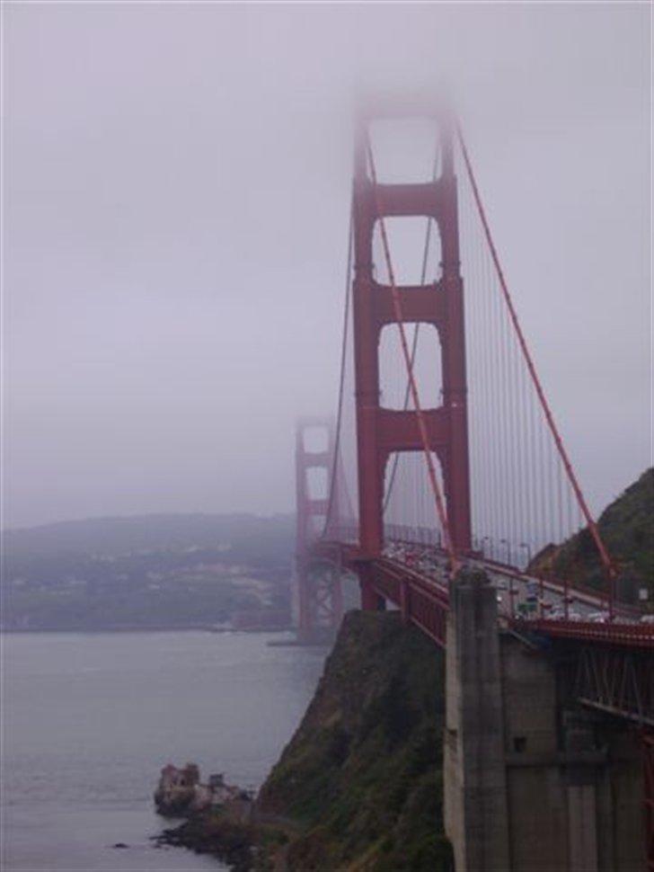 Lidt billeder fra en bilautists USA rejser! - Tjae - Man er vel ikke i San Francisco, UDEN et lille billede af den røde bunke skrotjern - også kendt som Golden Gate ;-) billede 51