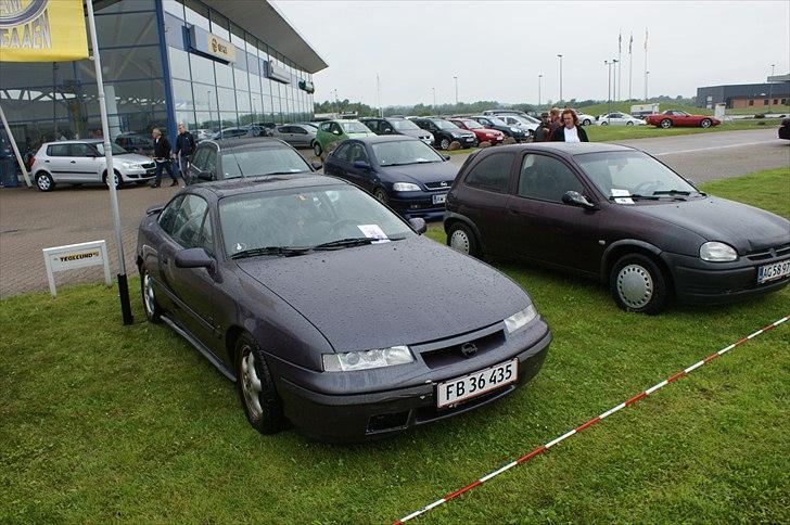 Opel Team Kongeaaen ( Vejen 18 juni ) billede 29