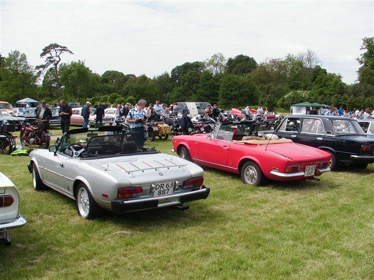 Gisselfeld 2007 - Nogle 124 Spider'e billede 3