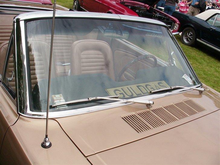 Gisselfeld 2007 - Guldgåsen... billede 34