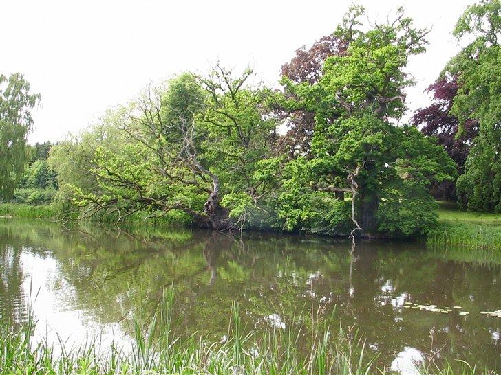 Gisselfeld 2007 - Området omkring Gisselfeld... billede 61