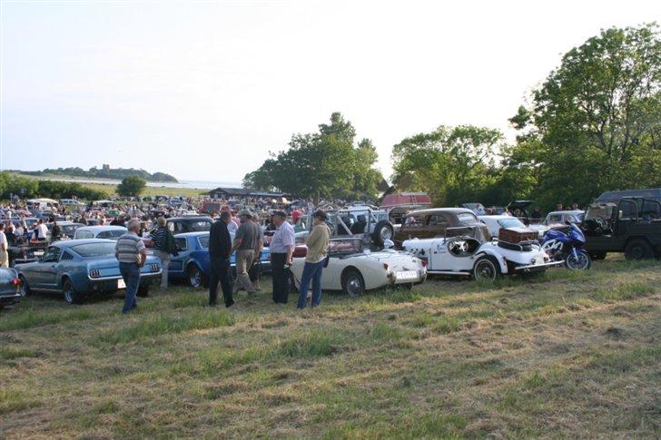 Kalø 5. juni 07 billede 15