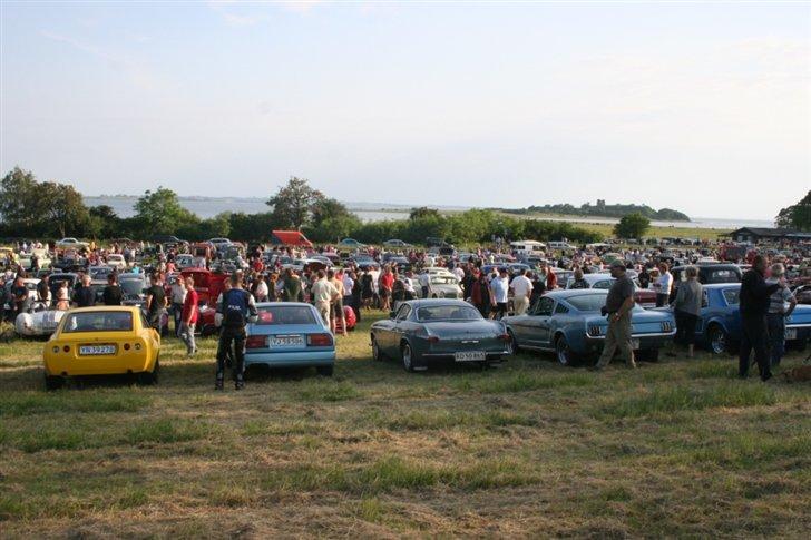 Kalø 5. juni 07 billede 16