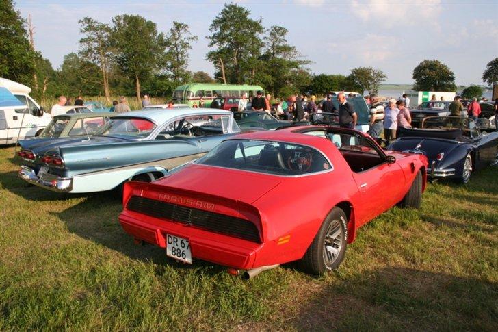 Kalø 5. juni 07 billede 21