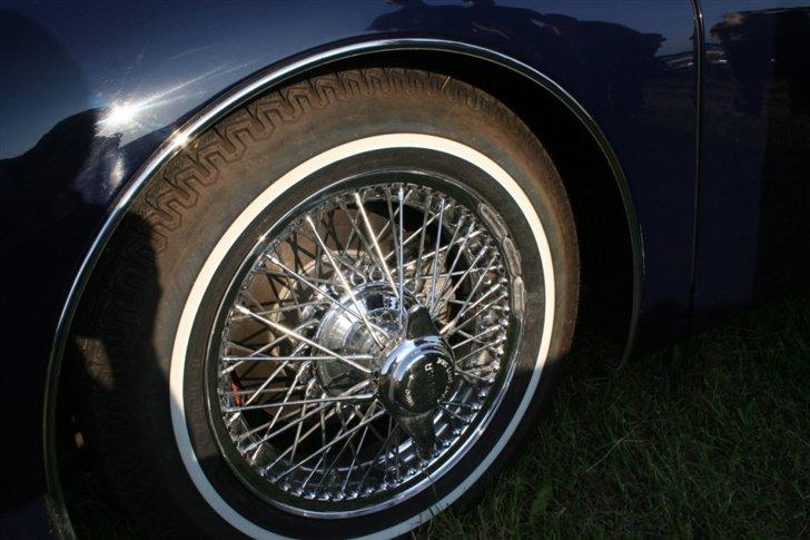 Kalø 5. juni 07 - Jaguar X150 billede 24