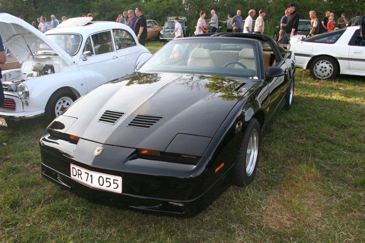 Kalø 5. juni 07 billede 32