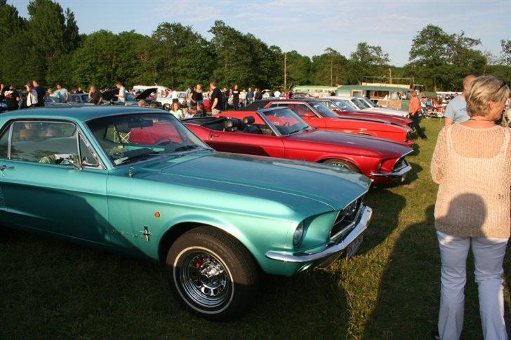 Kalø 5. juni 07 - Mustang billede 46