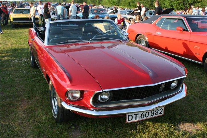 Kalø 5. juni 07 - Mustang billede 47