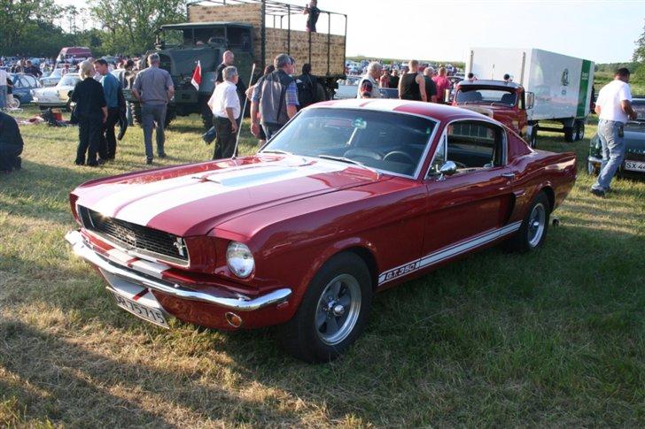 Kalø 5. juni 07 - Mustang GT 350 (Replica ?) billede 50