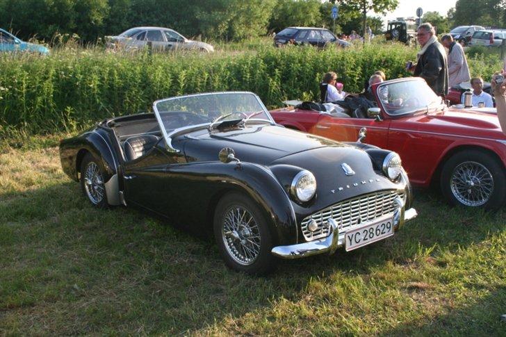 Kalø 5. juni 07 billede 52