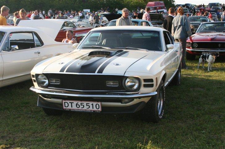 Kalø 5. juni 07 - Mustang billede 53