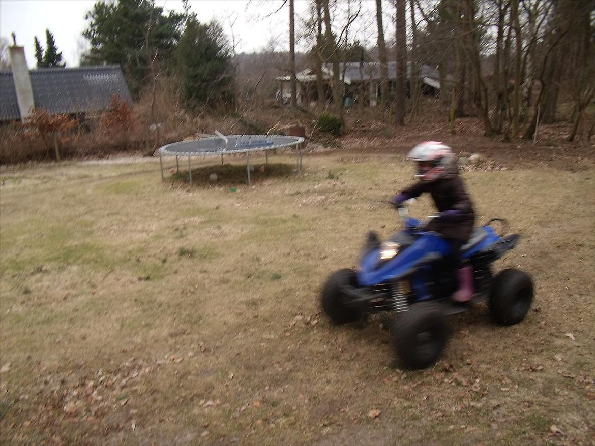 ATV"ER billede 9