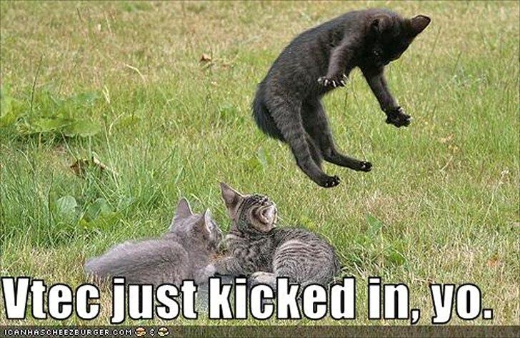 VTEC Just kicked in yo! billede 4