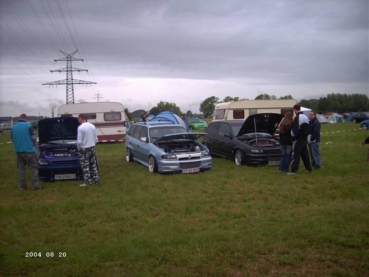 Opel træf i brunsbuttel i tyskland billede 1