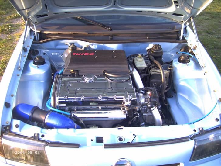 Opel træf i brunsbuttel i tyskland billede 2