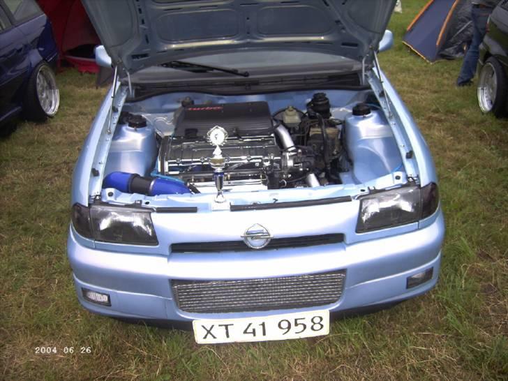 Opel træf i brunsbuttel i tyskland billede 5