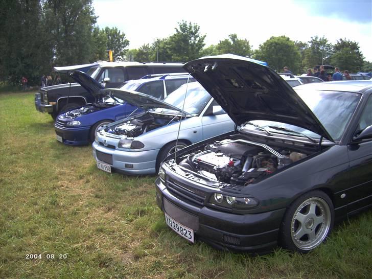 Opel træf i brunsbuttel i tyskland billede 7