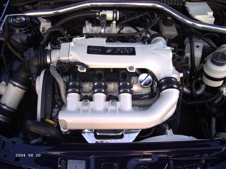 Opel træf i brunsbuttel i tyskland billede 10