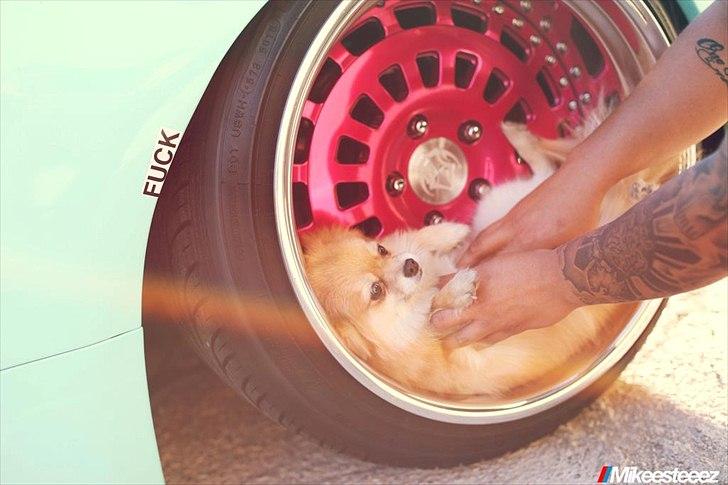 Er du til brede Biler???? billede 45