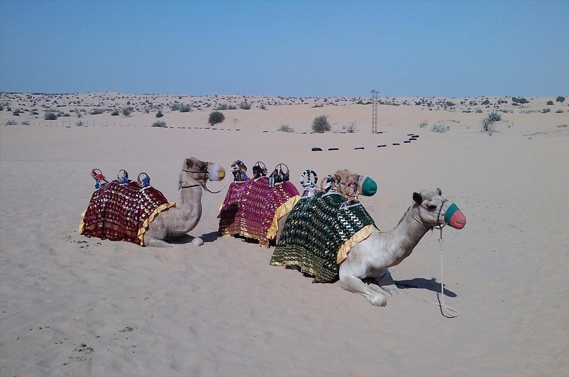 Min Tur til Dubai - Et stop på turen i Ørkenen for at få noget at drikke og strække ben billede 10