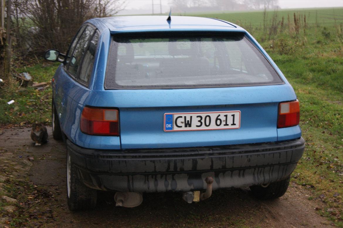 nyeste bil billede 3