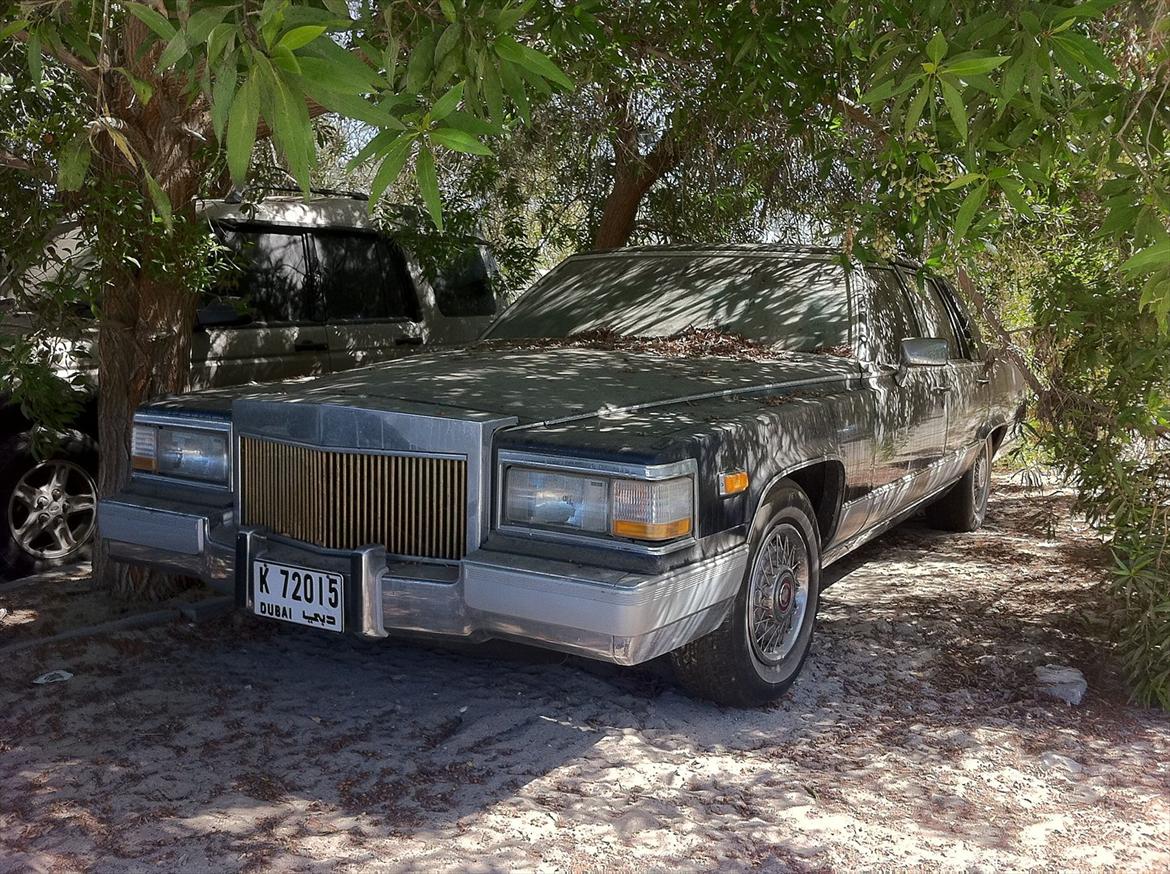 Biler i Dubai :o) billede 68