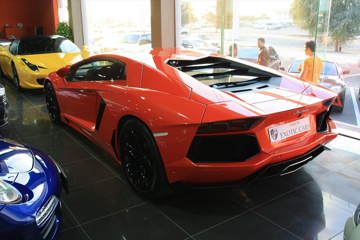 Biler i Dubai :o) billede 109