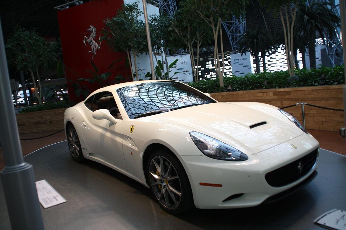 Biler i Dubai :o) billede 212