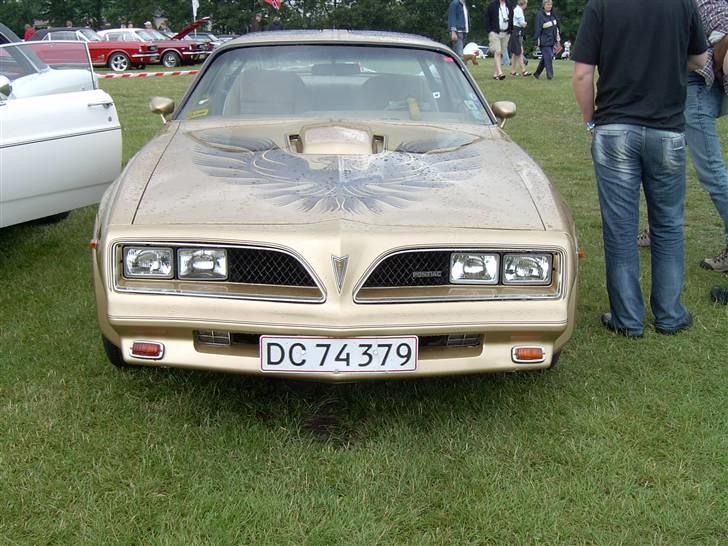 Amerikaner træf i Viborg billede 28