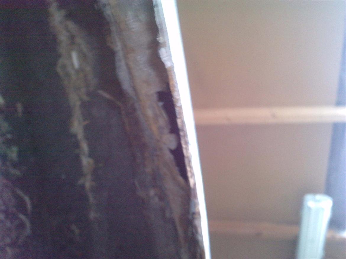 Rust i ny indkøbt Opel Kadett C billede 26