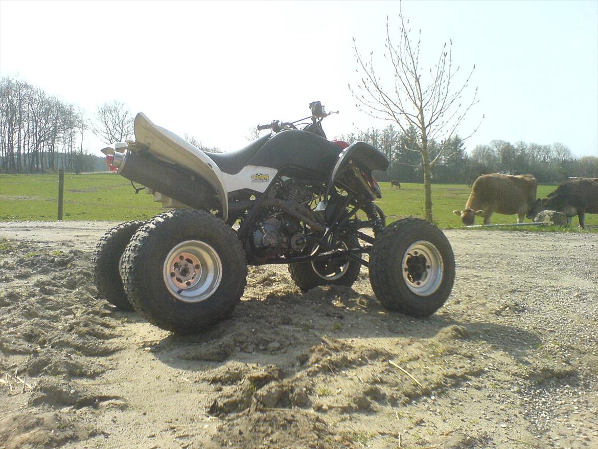 Yamaha Raptor 660 billede 3