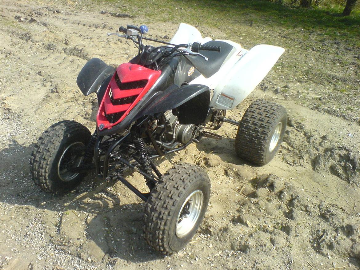 Yamaha Raptor 660 billede 6