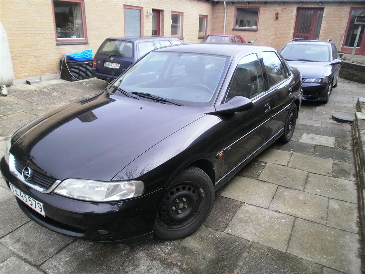 VECTRA B V6 RENOVERING/TUNING/STYLING - sådan startede de,fuldstændig standard vectra v6 edition 100 billede 1