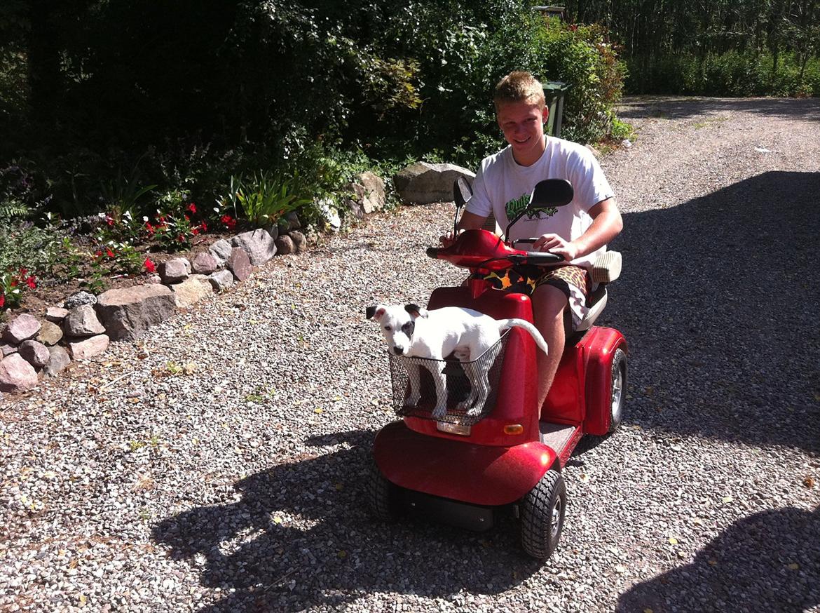 "Bimse´s" makeover fra grim gadebil til ond drifter - Bad ass værksteds -"kamphunden" Mugin (min Jack Russel Terrier) blev træt i benene og måtte tilkalde sin privatchauffør ;-D billede 17