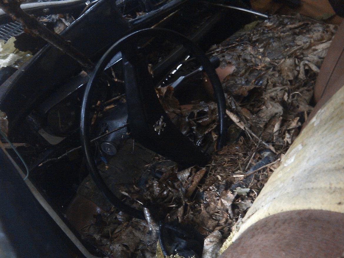 en gammel peugeot - hvis jeg ikke havde set mærket havde jeg ikke umiddelbart vidst at det var en peugeot. billede 4