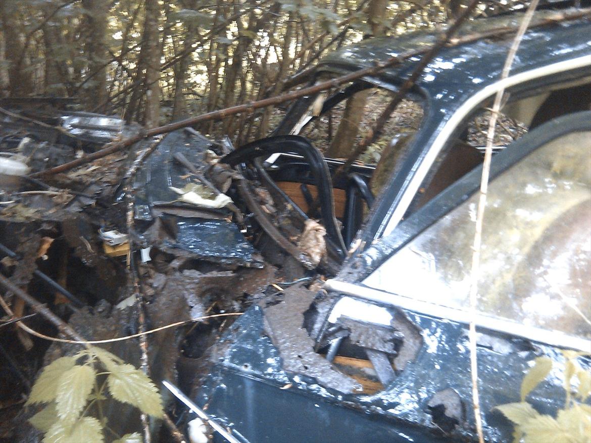 en gammel peugeot - her kan man ane at fronten stort set er rustet af den. billede 2