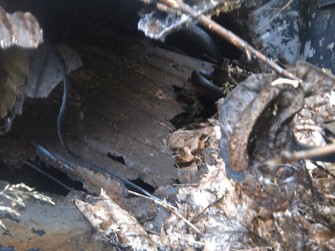 en gammel peugeot billede 7