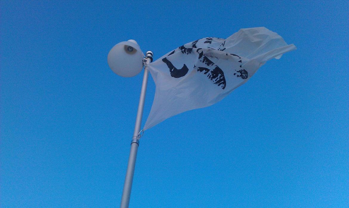 Festivals anlæg - Kutte - Pære med 16 forskellige farver der kan styres fra jorden via fjernbetjening billede 4