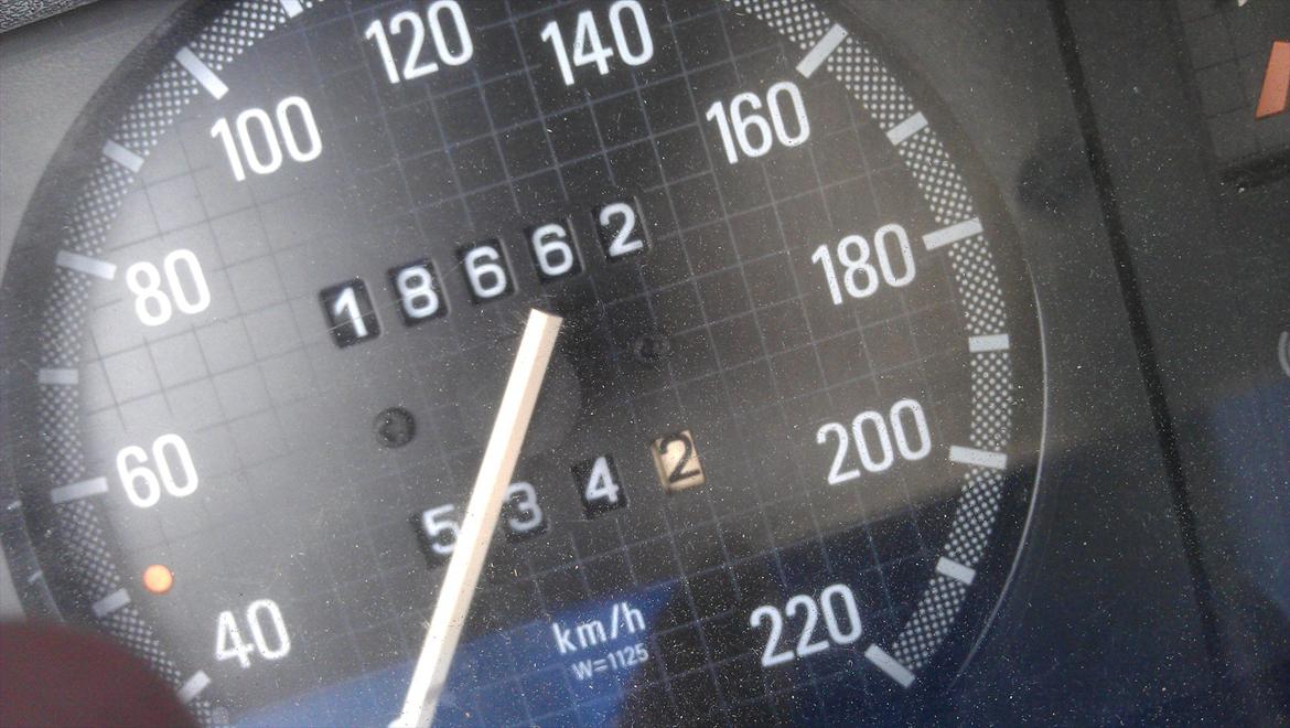 Opeltreffen Oschersleben 2012 - 534 km hjemmefra ca. Billede taget lørdag morgen d. 9. Juni 2012 billede 36