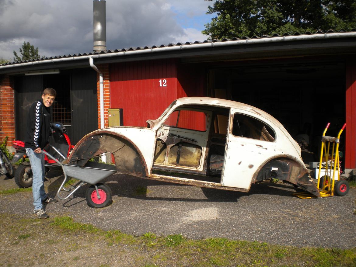 Min gammel VW Bobbel type 1 billede 1