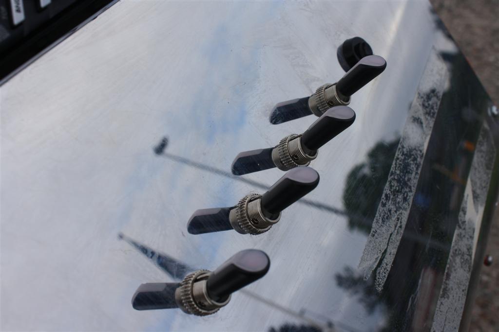 Trækvogn / Festivalvogn - Anno 2012 billede 5