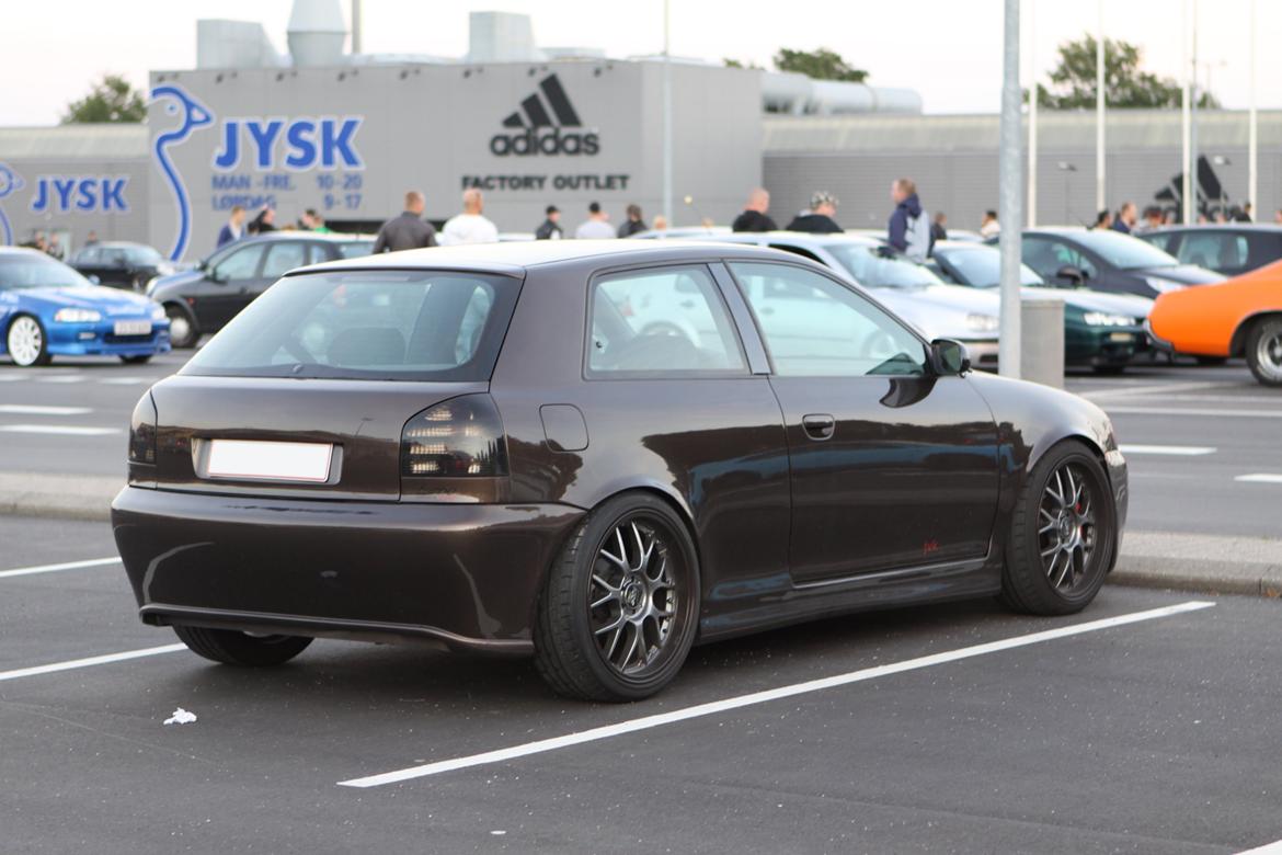 Striben København billede 5