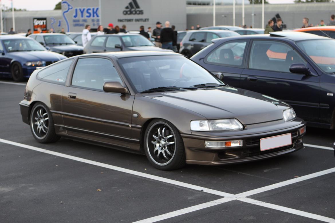 Striben København billede 7