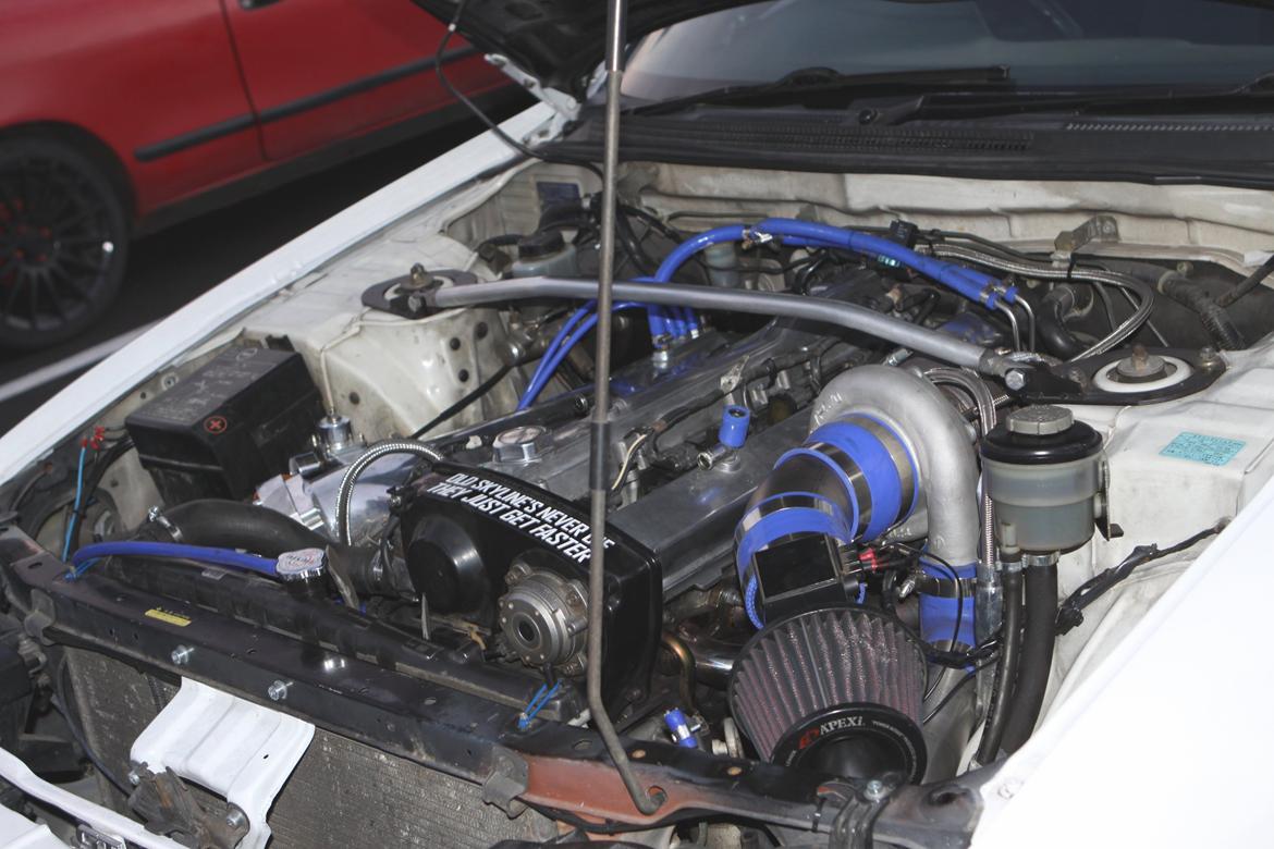 Striben København billede 30